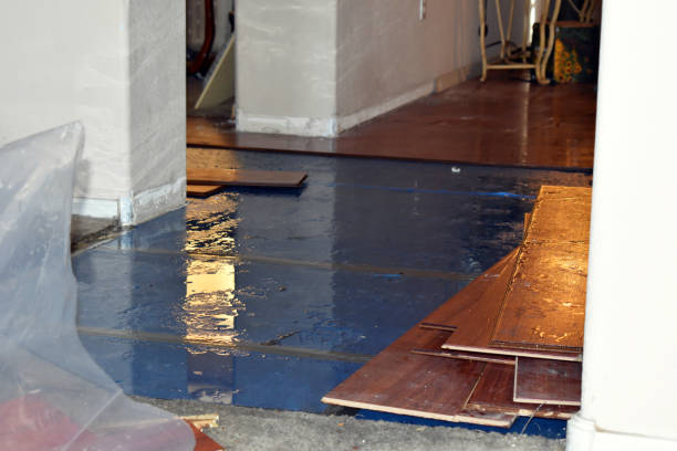 Professional Burst Pipe Water Damage technician working in Troy, ME